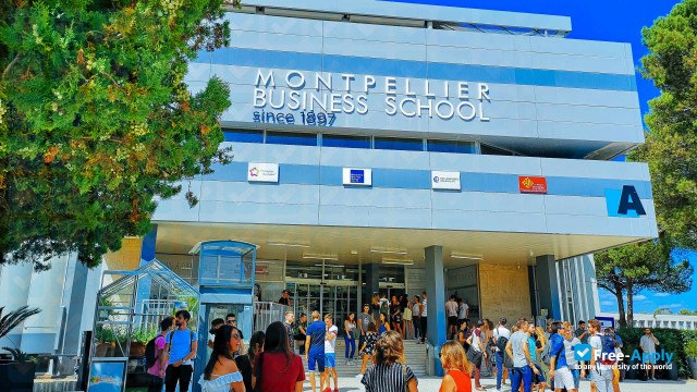 Montpellier Business School фотография №15