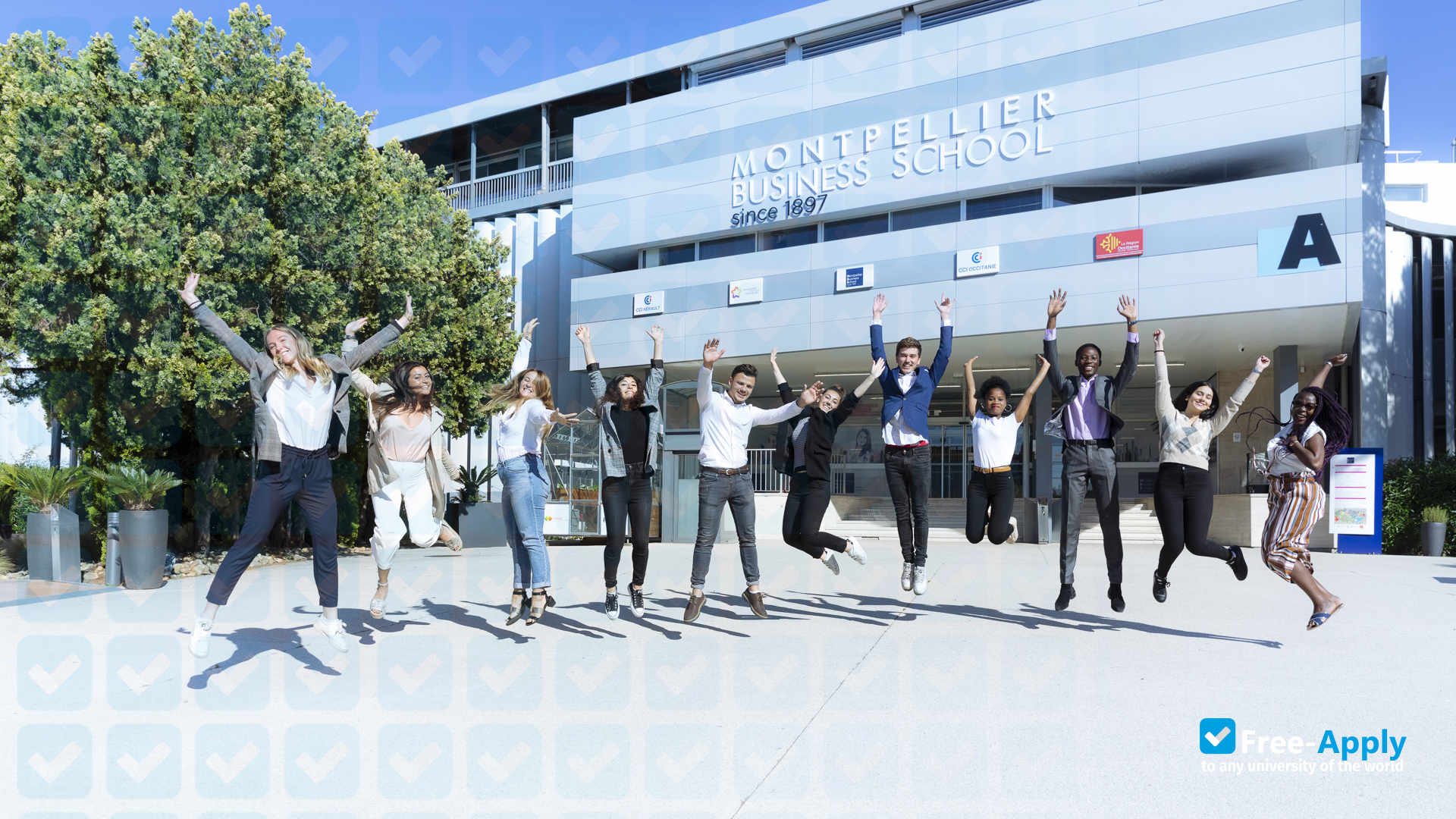 Montpellier Business School photo #7