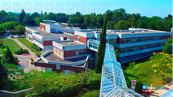 EMLYON Business School photo #6