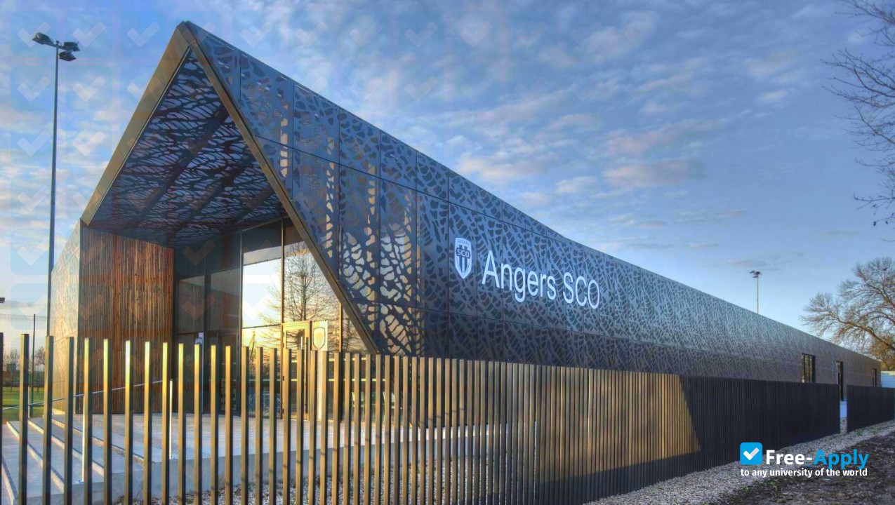 Photo de l’University of Angers #5