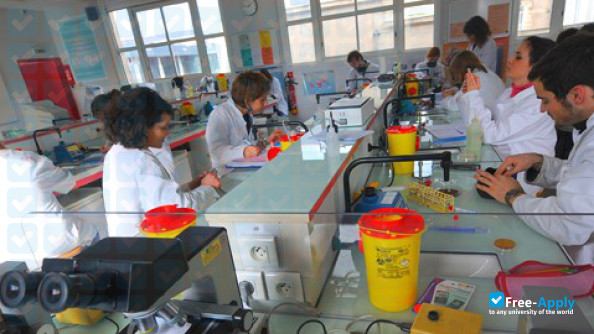 Photo de l’University of Angers #11