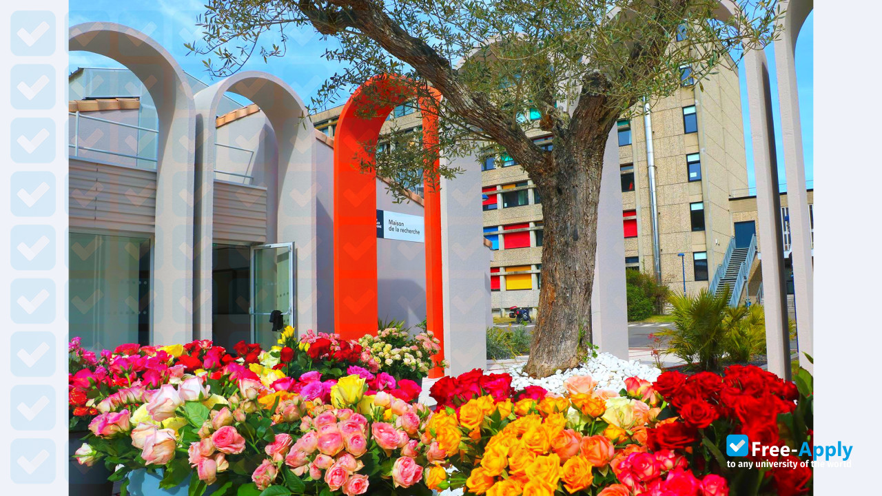 University of Bordeaux Montaigne photo #7