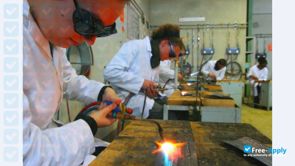 National Institute for Applied Sciences photo #13