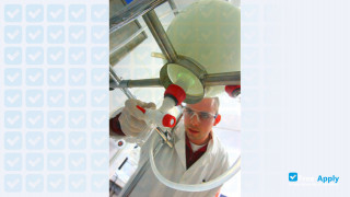 National Institute for Applied Sciences thumbnail #14