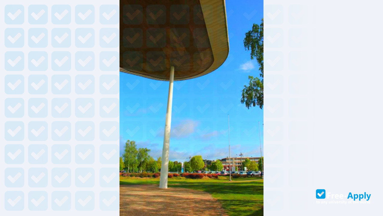 Foto de la National Institute of Applied Sciences #4