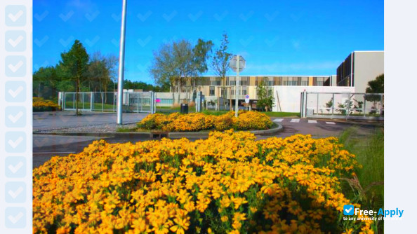 Foto de la National Institute of Applied Sciences #5
