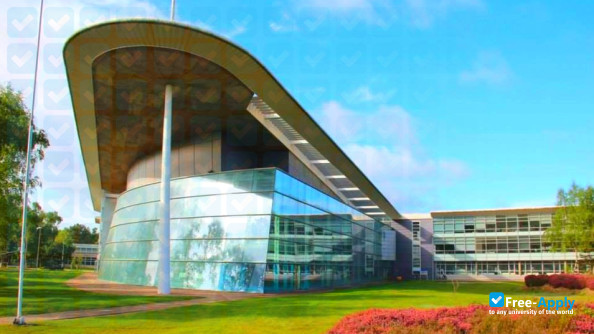 Foto de la National Institute of Applied Sciences #10