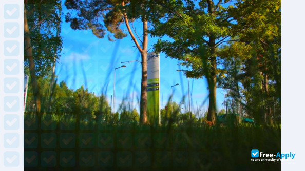 Foto de la National Institute of Applied Sciences #12