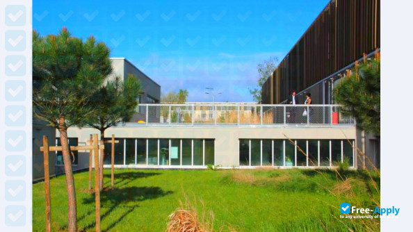 Foto de la National Institute of Applied Sciences #11
