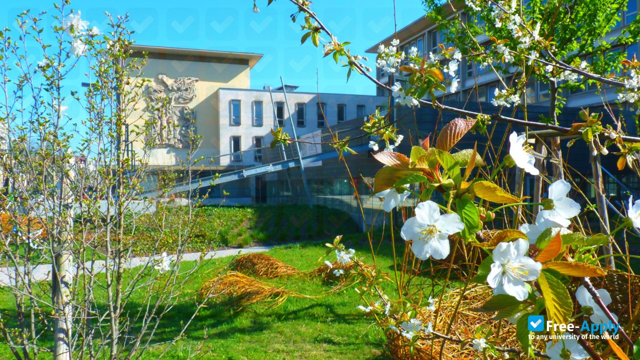 National Institute of Applied Sciences of Strasbourg фотография №5