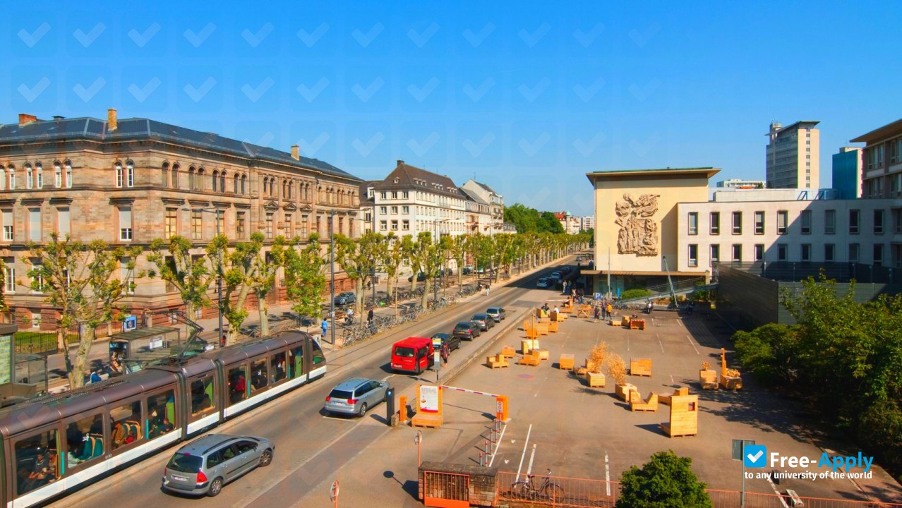 National Institute of Applied Sciences of Strasbourg фотография №16
