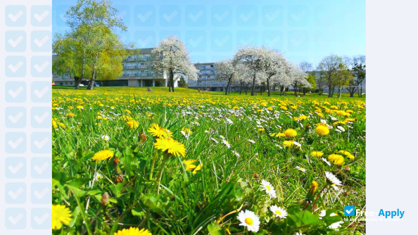 Photo de l’University of Burgundy #2