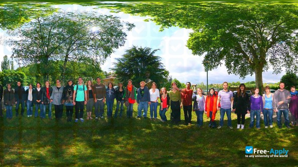 Photo de l’ARFRIPS Social Work Institute Lyon #3