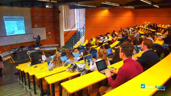 Photo de l’University of Nantes #7