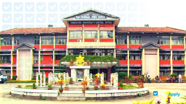 Foto de la College of Engineers #6