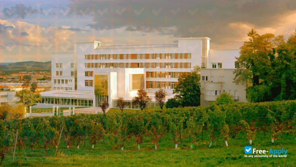National School of Architecture of Clermont-Ferrand фотография №8
