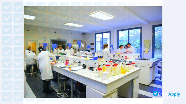 School of Industrial Biology photo #2