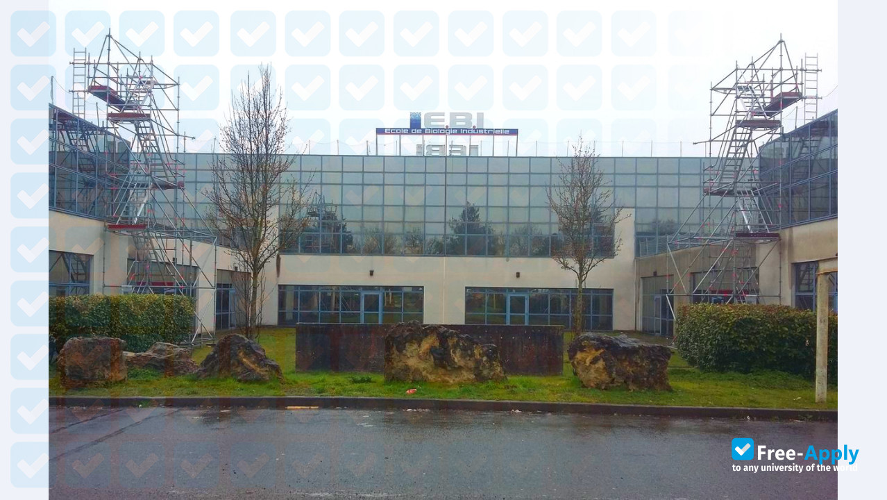 Foto de la School of Industrial Biology #3