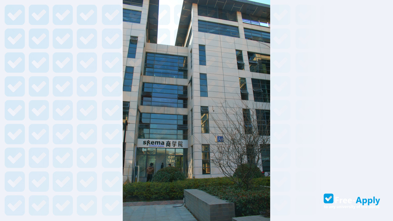 SKEMA Business School фотография №7