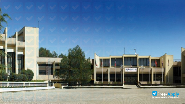 SKEMA Business School фотография №4