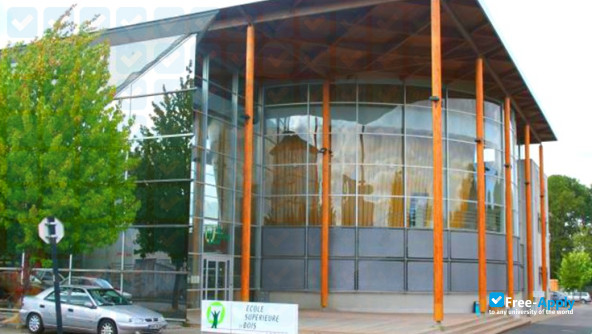 Foto de la Higher School of Wood #10