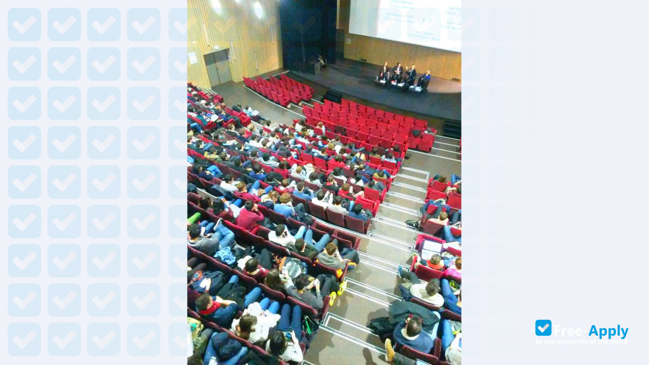 School of Engineers in Physics, Electronics, Materials Grenoble PHELMA photo #2