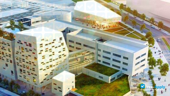 School of Engineers in Physics, Electronics, Materials Grenoble PHELMA photo #14
