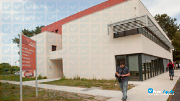 Bts Et Bachelor Esarc Evolution Montpellier photo #6