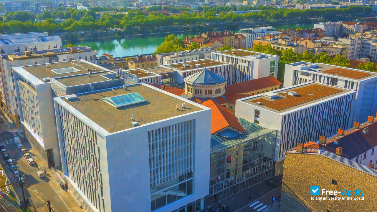 ESDES Lyon Business School