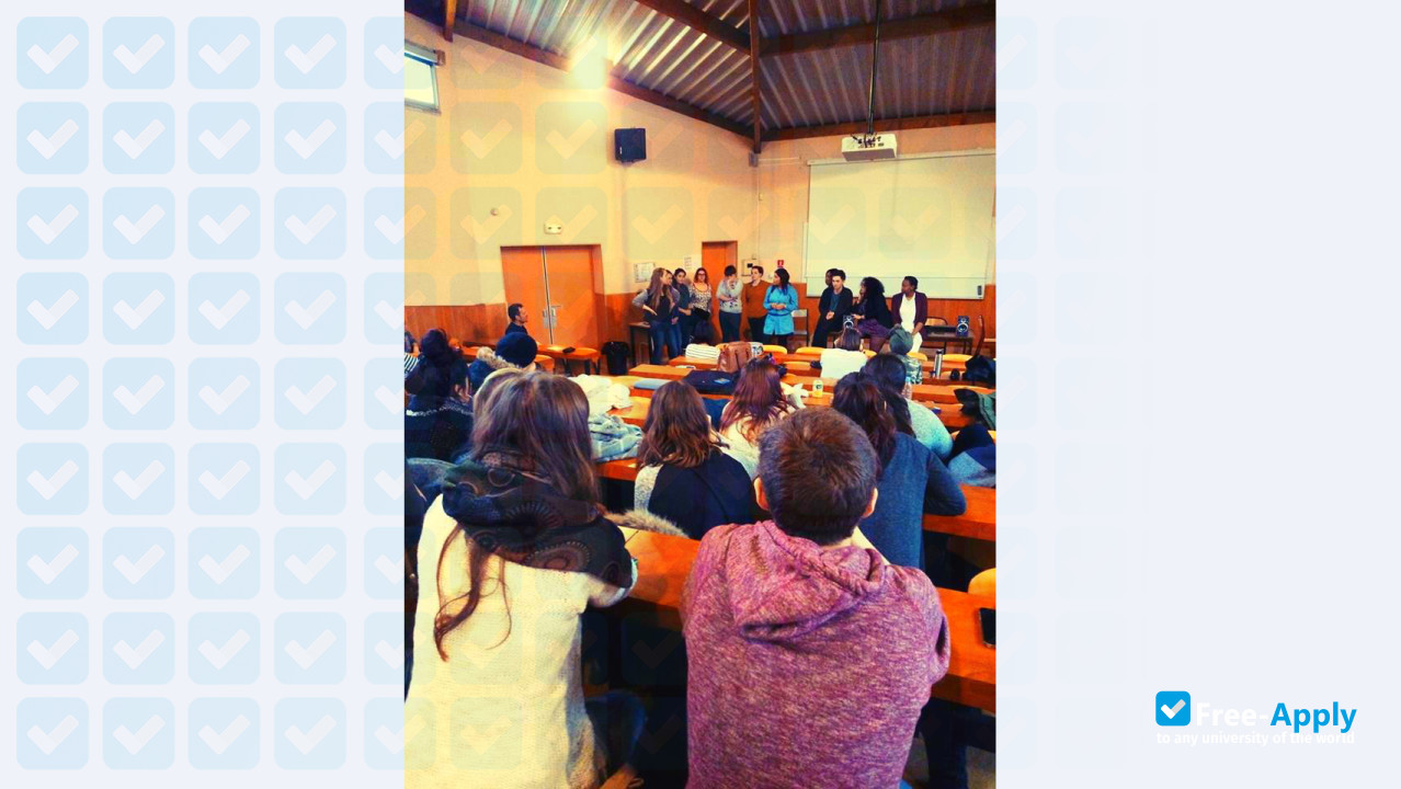 Regional Institute of Social Work photo #10