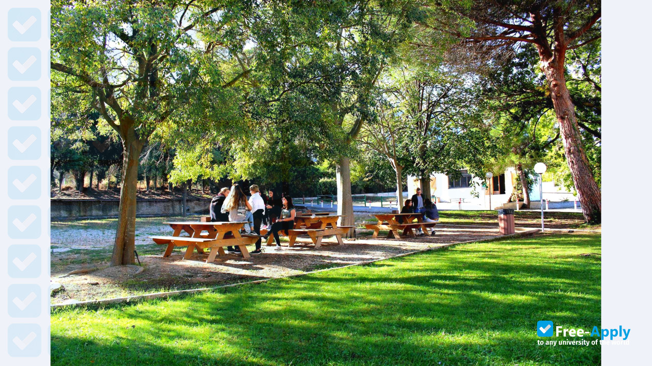 Regional Institute of Social Work photo #3