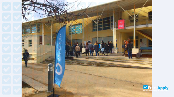 Polytech Montpellier photo #12