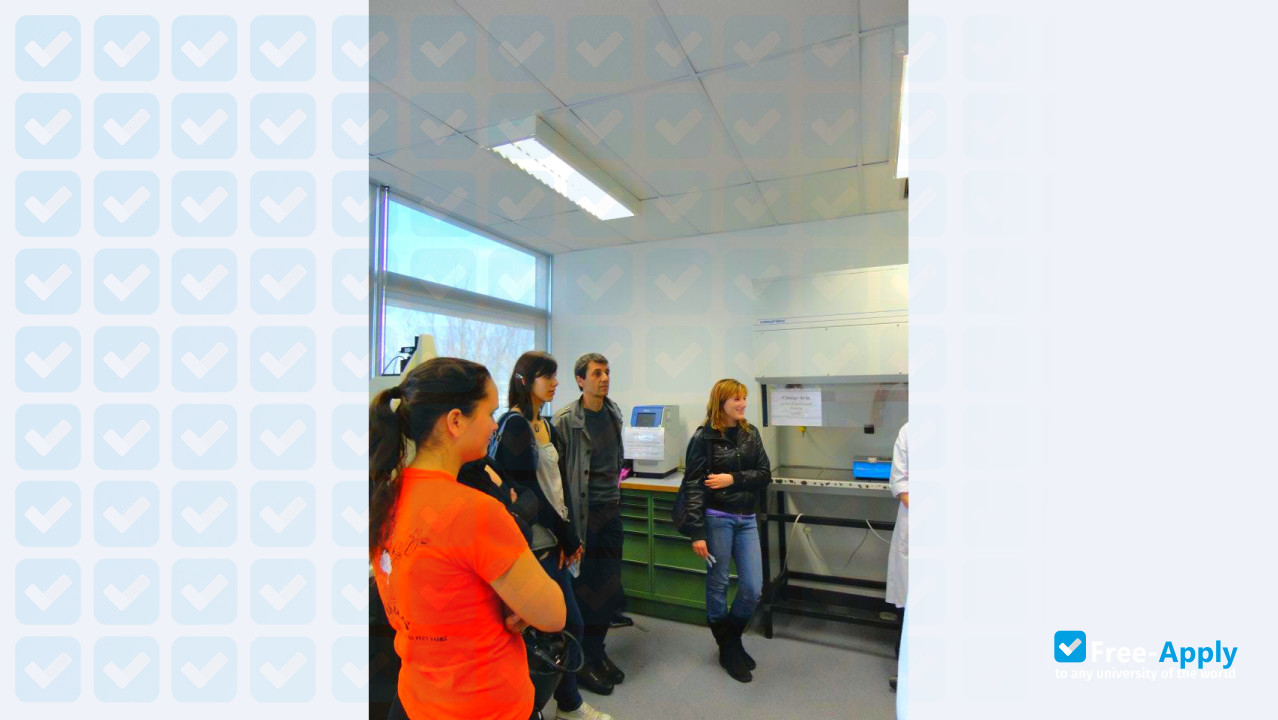 Graduate School of Biotechnology of the Strasbourg photo #4