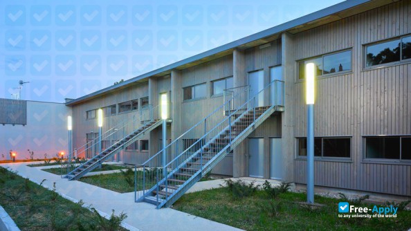 Mediterranean Institute for Training and Research in Social Work photo #8