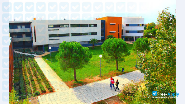 Photo de l’University of Toulon #3