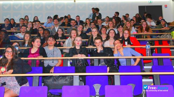 Y SCHOOLS photo #9