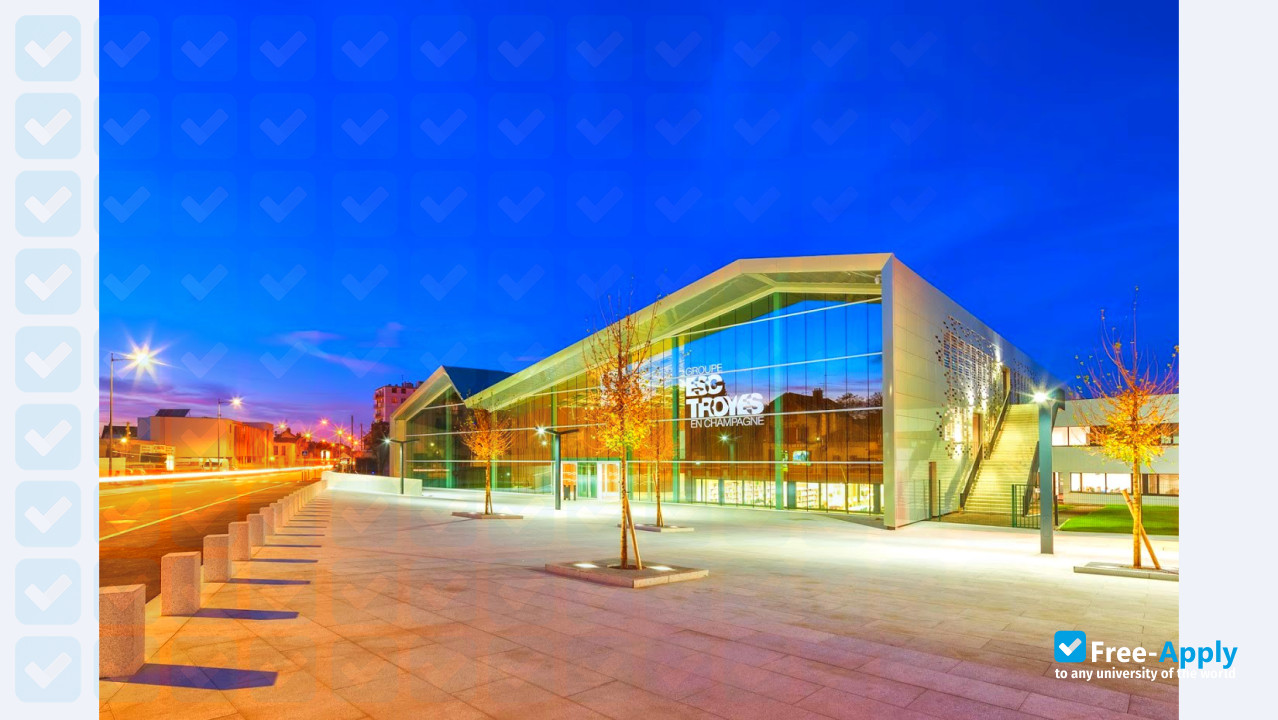 Y SCHOOLS photo #6