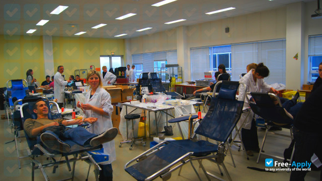 EIL Opal Coast photo #5