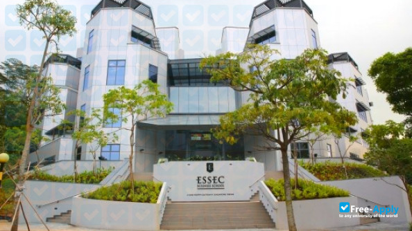ESSEC Business School photo #12