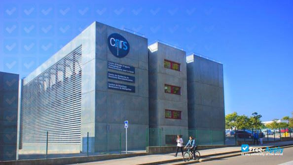 Montpellier University Teacher Training Institute фотография №3