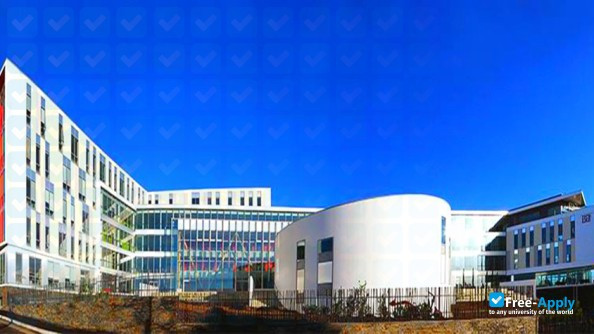Grande Ecole of Engineers in Computer Science and Electronics in Angers photo