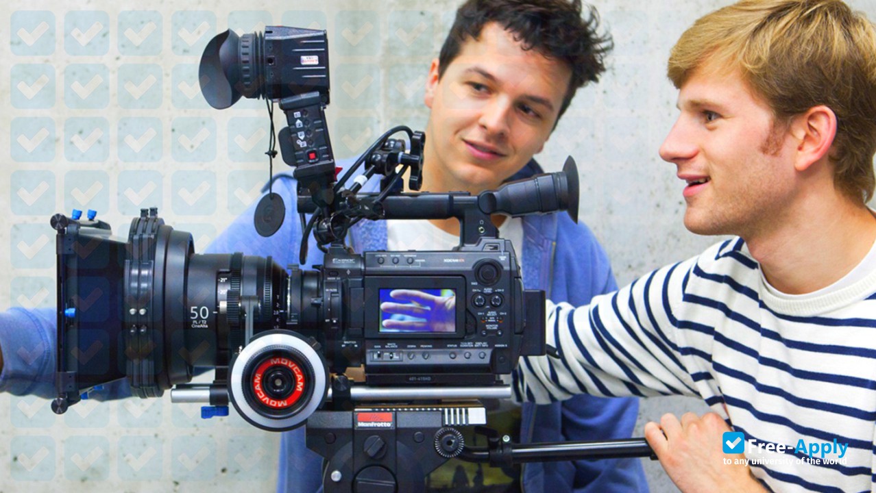 School of Cinema фотография №8
