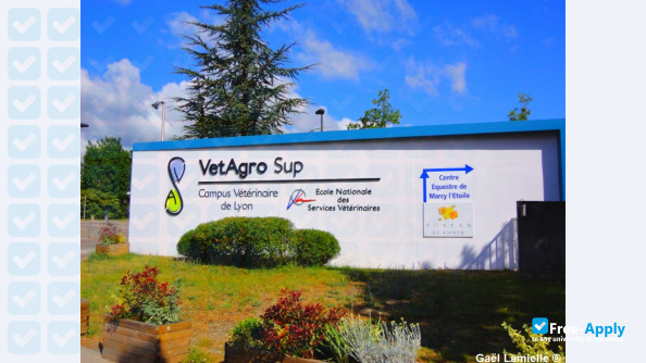 VetAgro Sup photo #8
