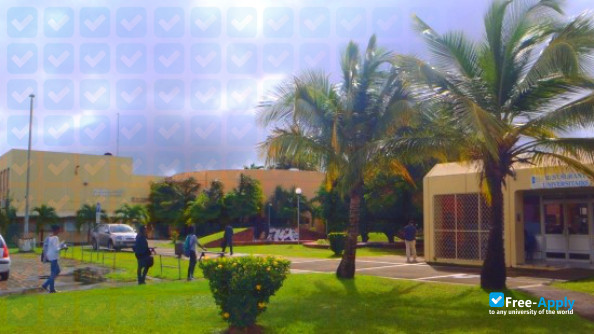 University of the West Indies and Guyana photo #7