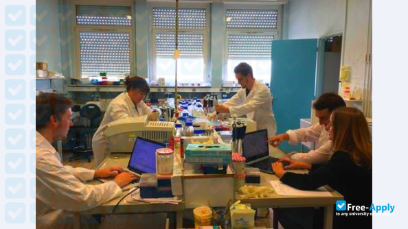 Foto de la University of Applied Computer Science #4
