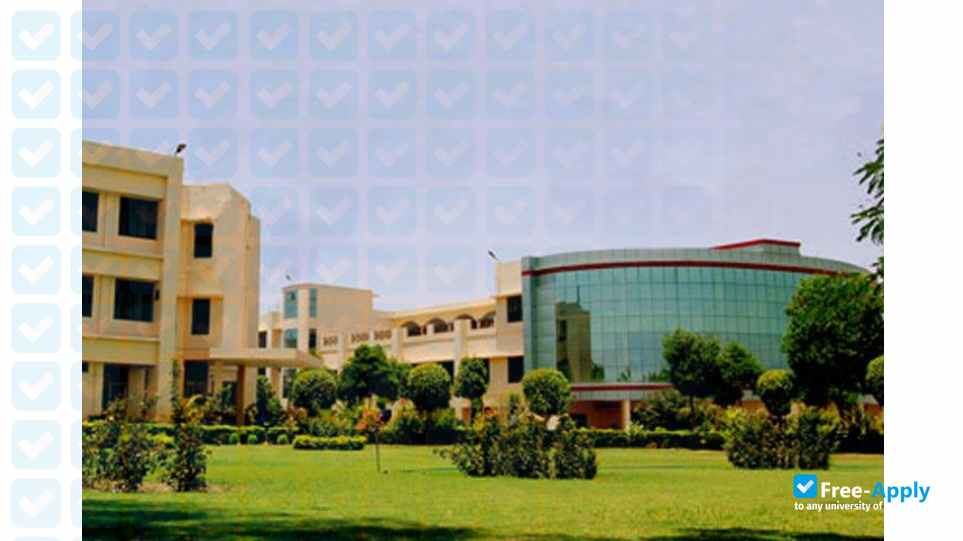 bbs school of management photo #4
