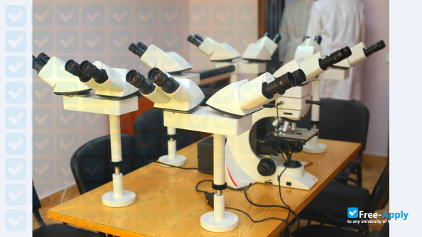 Foto de la Tbilisi State Medical University #16
