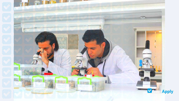 Foto de la Tbilisi State Medical University #17