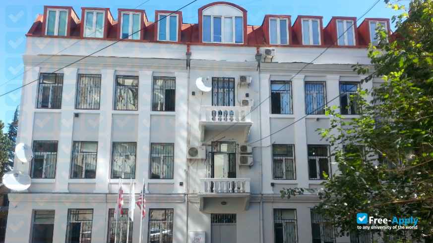 Georgian Institute of Public Affairs фотография №3