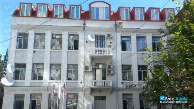 Georgian Institute of Public Affairs photo #2